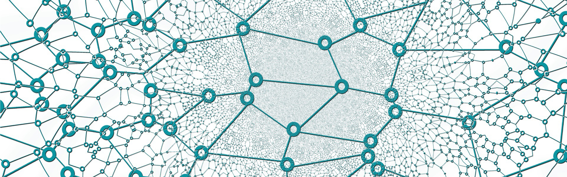Nationale Geoinformations-Strategie Polygonnetz